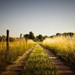 country_road_late_summer-wallpaper-1280×800