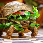 turtle-burger